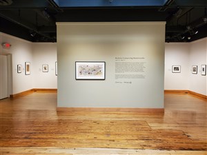 Restored prints from the museum's collection